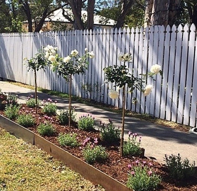 Weed control in Brisbane